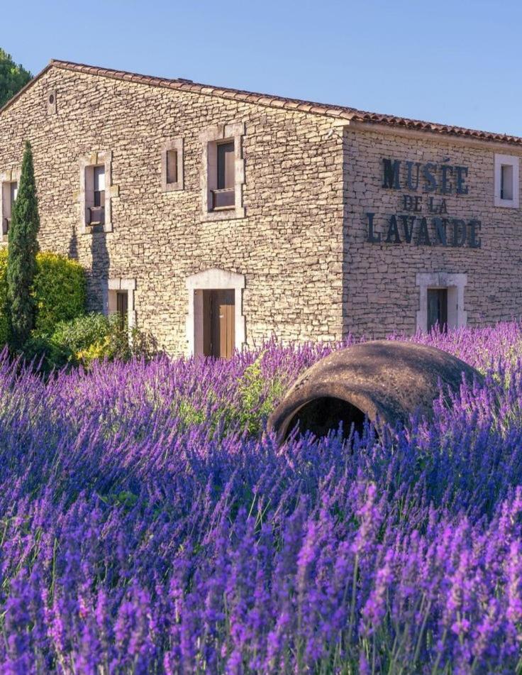 Mas Armelin Bed & Breakfast Tarascon Bagian luar foto