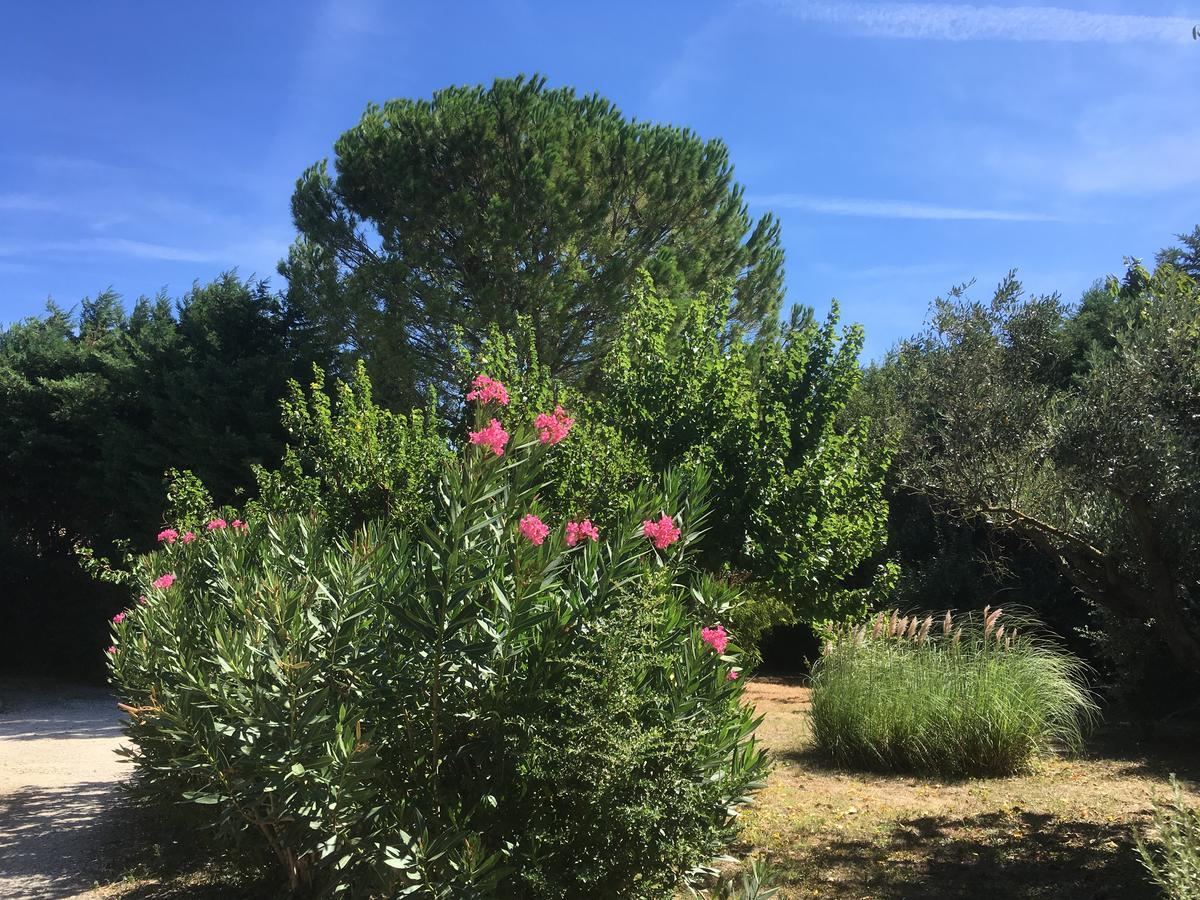 Mas Armelin Bed & Breakfast Tarascon Bagian luar foto